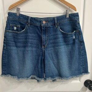Lane Bryant Denim Blue Women's Shorts
